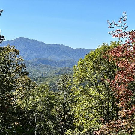 Stunning Views, Superb Atmosphere, Modern Amenities, In The Middle Of Nature Bryson City Esterno foto